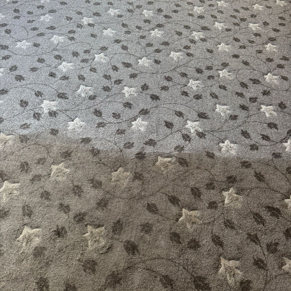 carpet cleaning